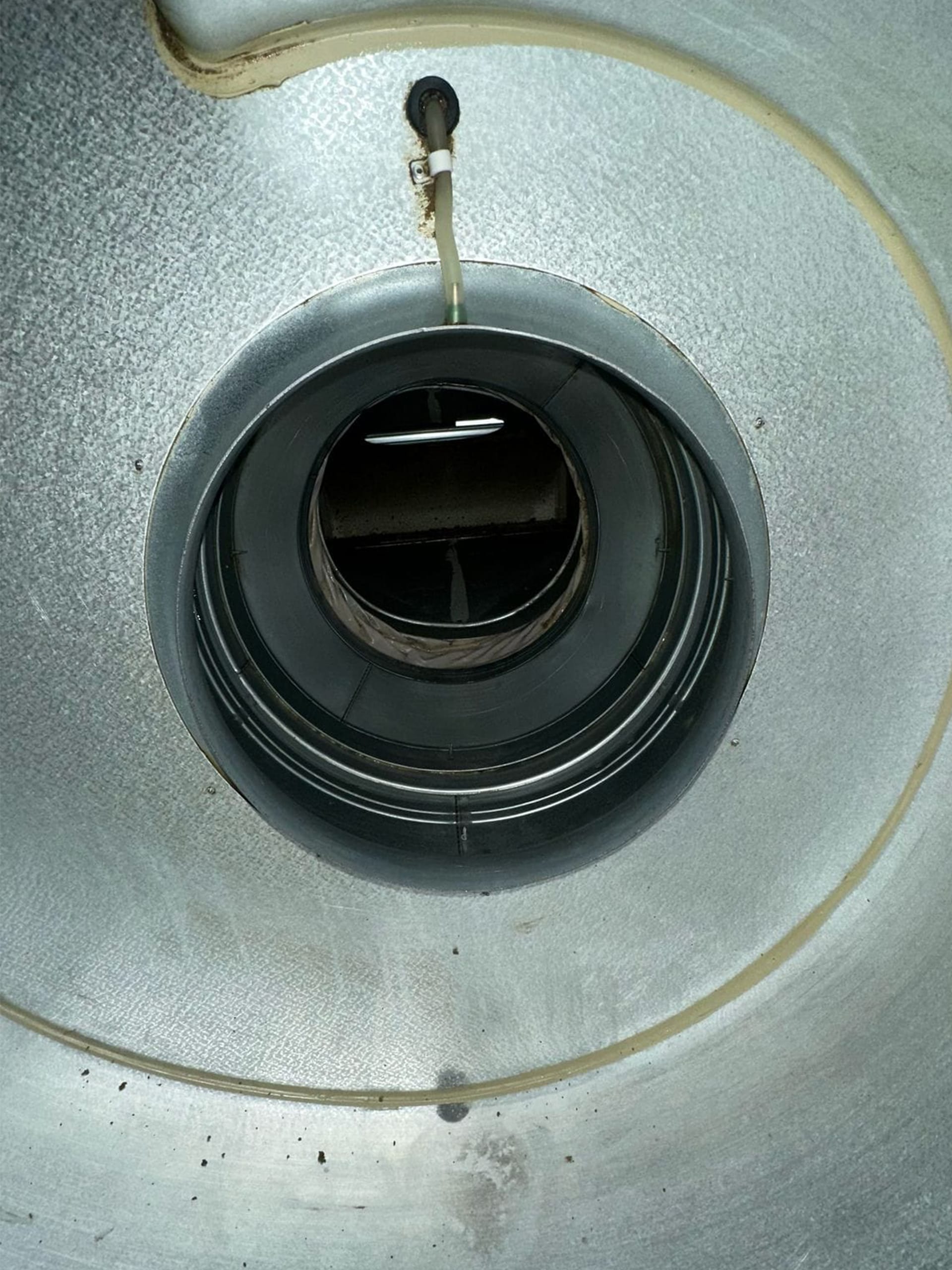 ars cleaning vet verwijderen